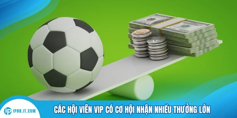 Các hội viên VIP có cơ hội nhận nhiều thưởng lớn