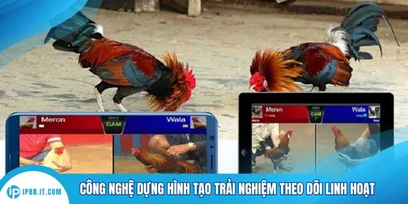 Công nghệ dựng hình tạo trải nghiệm theo dõi linh hoạt