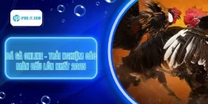 Đá Gà Online - Trải Nghiệm Các Màn Đấu Lớn Nhất 2025