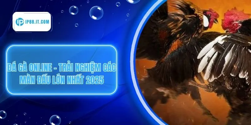 Đá Gà Online - Trải Nghiệm Các Màn Đấu Lớn Nhất 2025