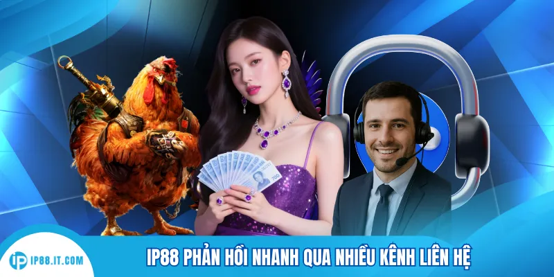 IP88 phản hồi nhanh qua nhiều kênh liên hệ