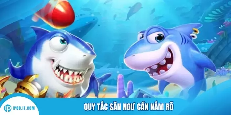 Quy tắc săn ngư cần nắm rõ