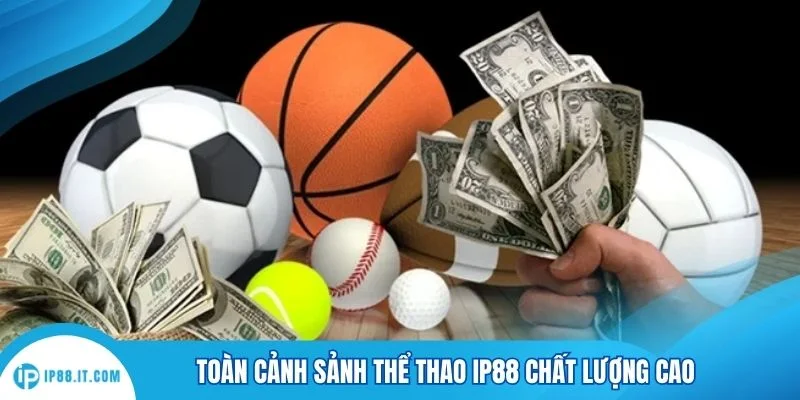 Toàn cảnh sảnh thể thao IP88 chất lượng cao