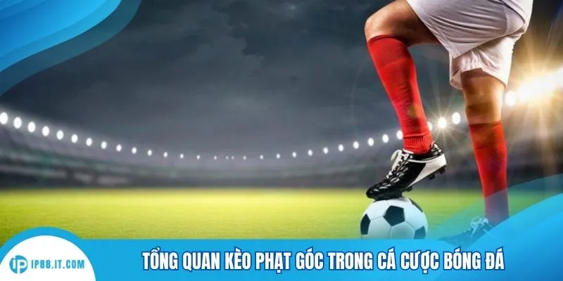 Tổng quan kèo phạt góc trong cá cược bóng đá